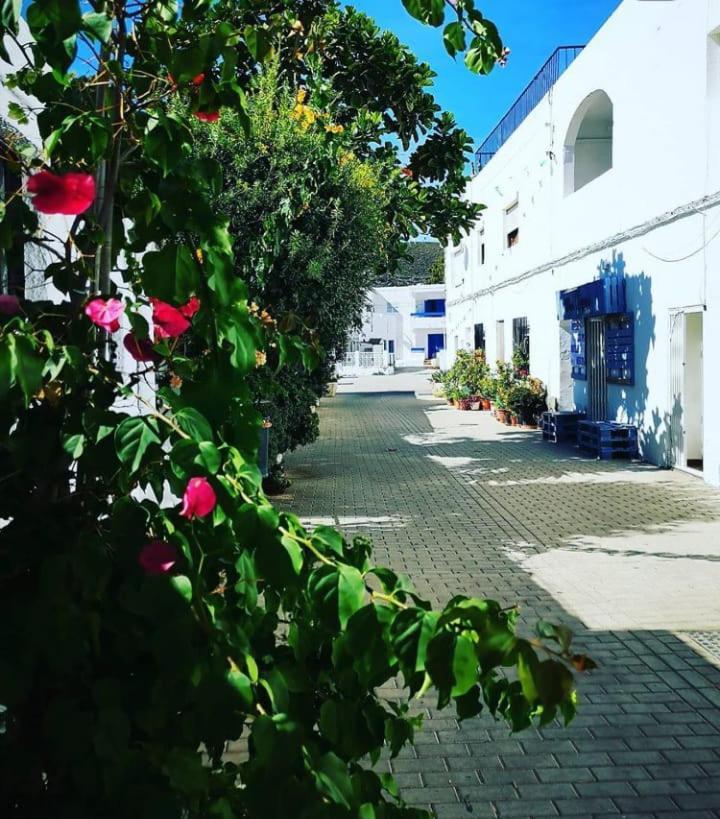 Casa Del Pez Vivienda A Pie De Calle En Agua Amarga A 250 Metros De La Playa ภายนอก รูปภาพ